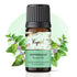 Ryaal Cinnamon Essential Oil for Hair Care & Skin Nourishment